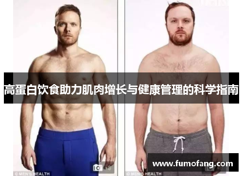 高蛋白饮食助力肌肉增长与健康管理的科学指南 高蛋白饮食助力肌肉增长与健康管理的科学指南