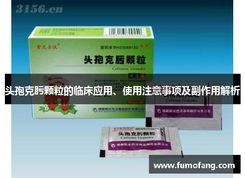 头孢克肟颗粒的临床应用、使用注意事项及副作用解析 头孢克肟颗粒的临床应用、使用注意事项及副作用解析