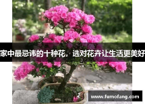 家中最忌讳的十种花，选对花卉让生活更美好